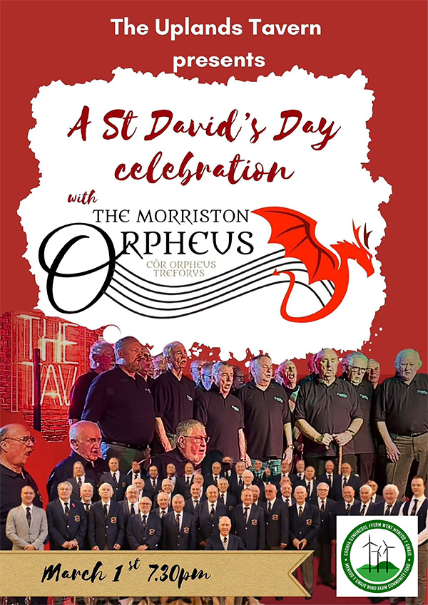 Saint David's Day Celebration Poster